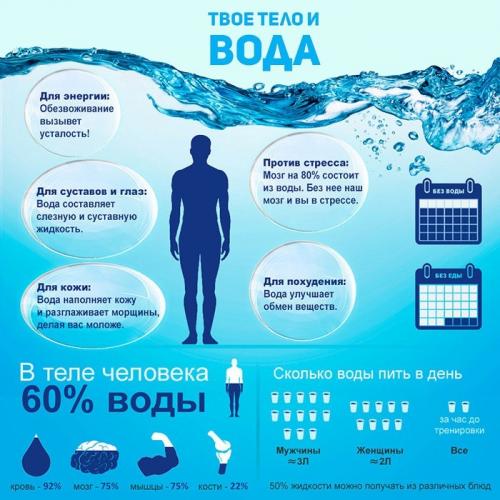 Какой жидкостный режим обеспечит процесс похудения без ущерба для организма. Польза и вред водной диеты для похудения и организма
