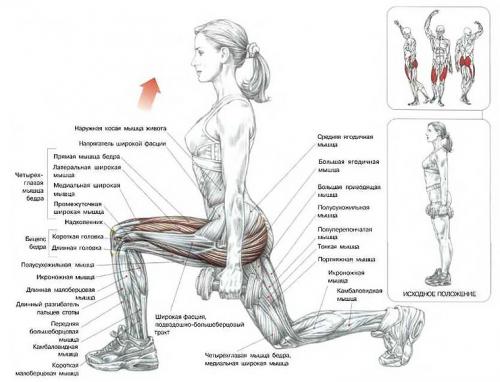 Какие упражнения можно делать дома, не посещая спортивный зал. «Качалка» на дому