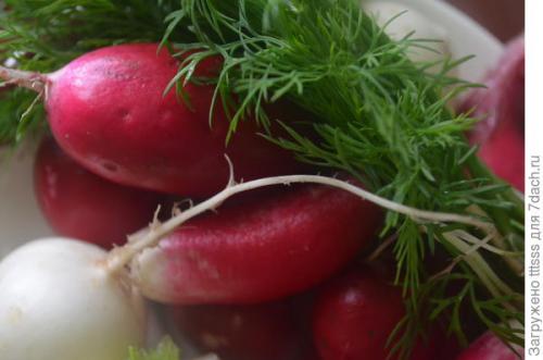 Почему именно два продукта считаются основными для правильного образа жизни. Правильное сочетание продуктов - это путь к здоровому образу жизни!