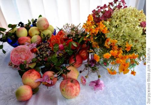 Почему именно два продукта считаются основными для правильного образа жизни. Правильное сочетание продуктов - это путь к здоровому образу жизни!