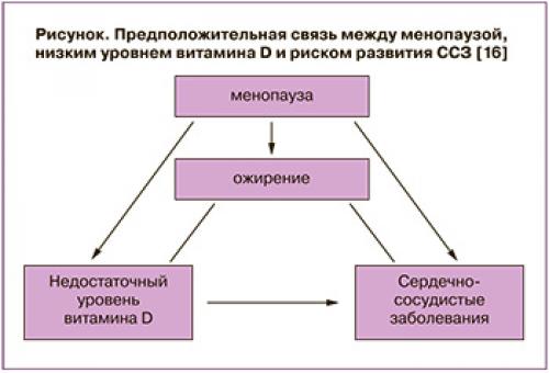 Можно ли принимать витамин D в период менопаузы и почему он важен. Влияние витамина D на течение менопаузального периода