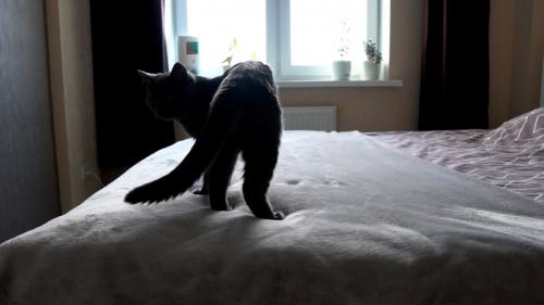 Изменила 3 утренние привычки и разделалась с лишним.. Здоровые утренние привычки за 30 минут