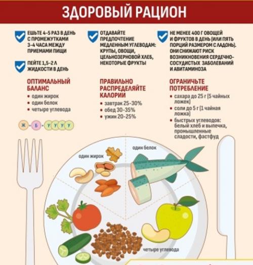 Полное руководство: как составить правильное питание для здоровья и энергии 01 Полное руководство: как составить правильное питание для здоровья и энергии 01