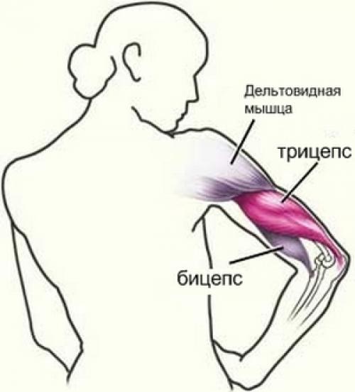 Улучшайте свое здоровье и уверенность в себе: как убрать жир с рук для женщин 02 Улучшайте свое здоровье и уверенность в себе: как убрать жир с рук для женщин 02
