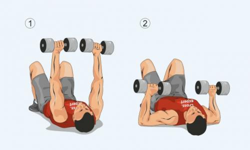 Какие упражнения можно выполнять для увеличения силы мышц рук, подмышек и груди без гантелей. Лучшие упражнения для мышц груди в домашних условиях