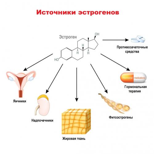 Могут ли продукты с эстрогеном и тестостероном вызывать проблемы с репродуктивной системой. Причины повышенных значений