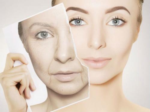 Могут ли продукты, содержащие эстроген, вызывать рак