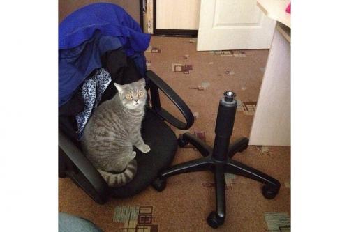 10 лайфхаков для того, чтобы улучшить свою продуктивность 03