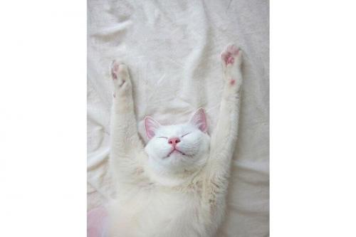 10 лайфхаков для того, чтобы улучшить свою продуктивность 04