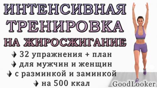 Как правильно составить режим тренировок на месяц для эффективного похудения. Интенсивная тренировка на жиросжигание на 500 ккал для мужчин и женщин (без повторов упражнений)