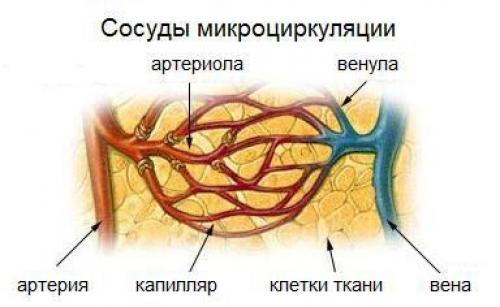 Как создать комплексное упражнение для рук в домашних условиях 14 Как создать комплексное упражнение для рук в домашних условиях 14