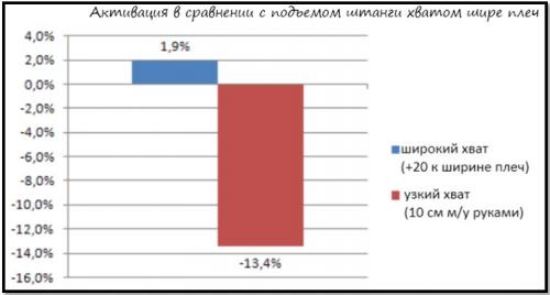 Какие упражнения на бицепсы являются наиболее эффективными для массы. Мышцы рук (бицепс)