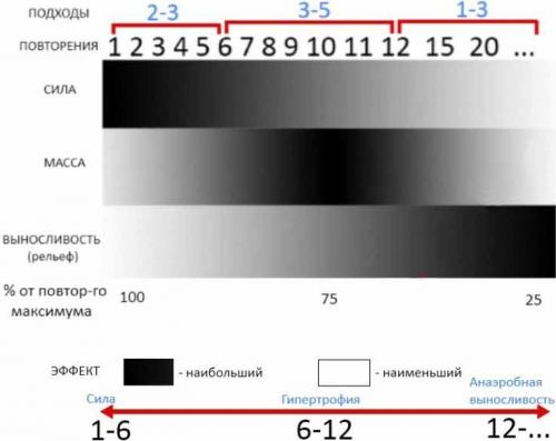 Укрепляем мышцы рук без специальных приспособлений: Топ-12 упражнений для эффективной тренировки 02 Укрепляем мышцы рук без специальных приспособлений: Топ-12 упражнений для эффективной тренировки 02