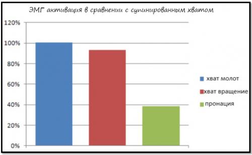 Какие упражнения на бицепсы являются наиболее эффективными для массы. Мышцы рук (бицепс)