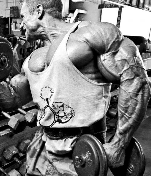 Можно ли тренировать бицепс каждый день или нужны выходные. Как часто следует качать бицепсы?