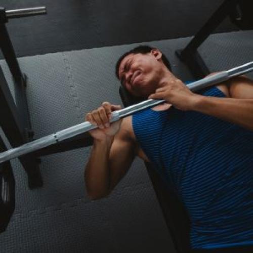 Секреты тренировки предплечий: как достичь мощного хвата и крепких мышц 02 Секреты тренировки предплечий: как достичь мощного хвата и крепких мышц 02