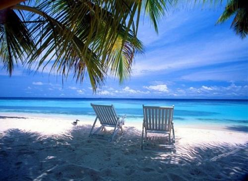 Как правильно планировать тренировки для набора мышечной массы в домашних условиях 06