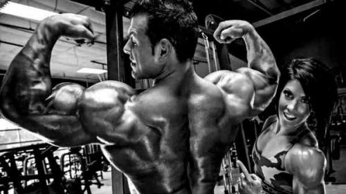 Можно ли сочетать упражнения на бицепс с другими видами тренировок. Какие мышцы надо качать вместе