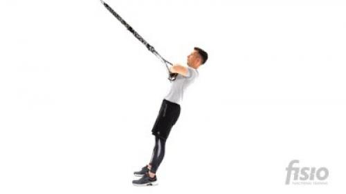 Худые руки за неделю: какие упражнения помогут достичь желаемого результата 01 Худые руки за неделю: какие упражнения помогут достичь желаемого результата 01