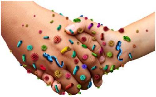 Секреты быстрой красоты: как достичь худых рук за несколько минут каждый день 08