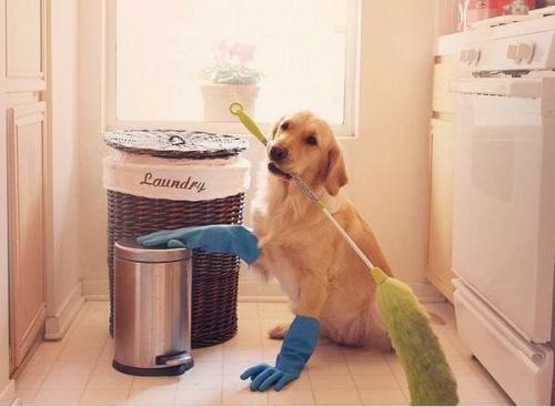 Как сохранить чистоту в труднодоступных местах дома. 8 лайфхаков по уборке в труднодоступных местах